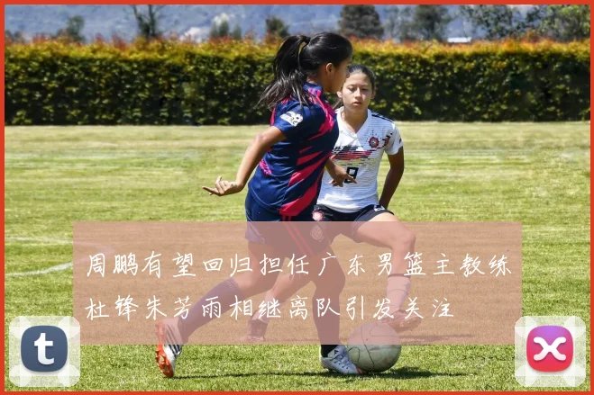 周鹏有望回归担任广东男篮主教练杜锋朱芳雨相继离队引发关注